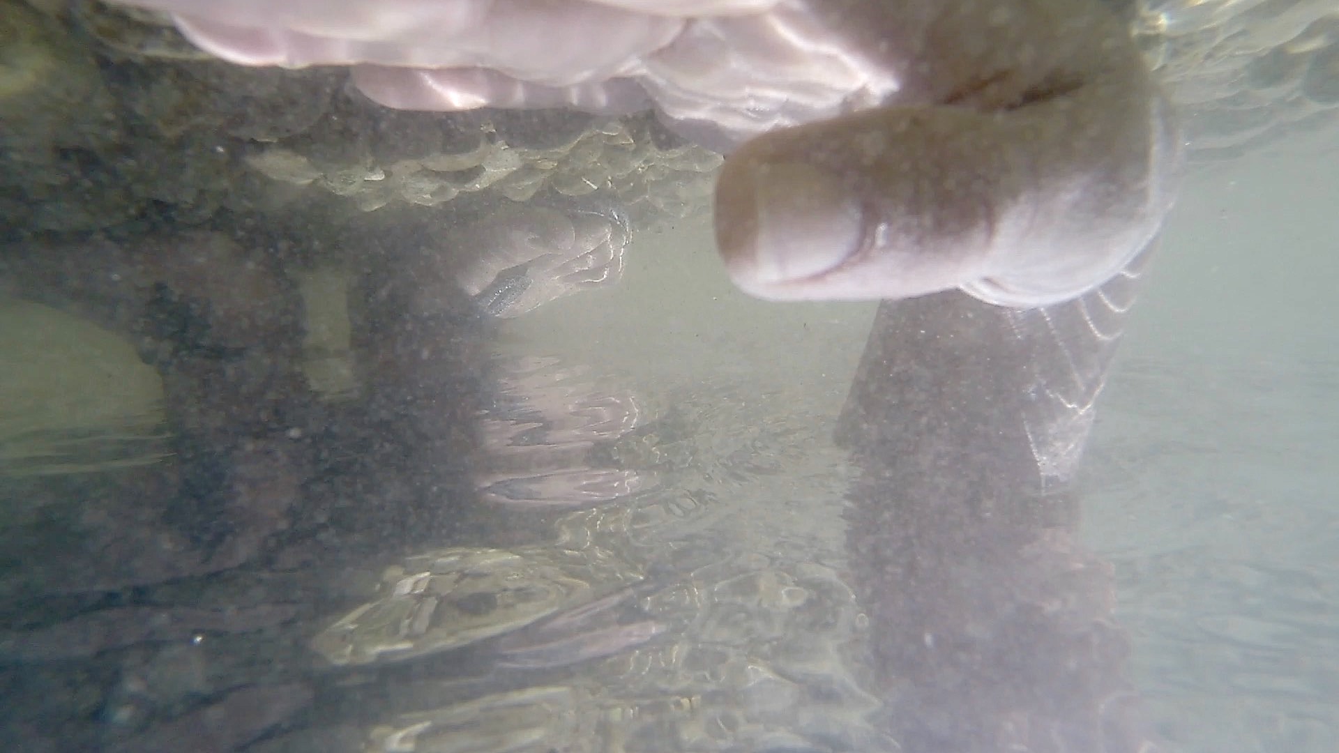 two hands immersed in water