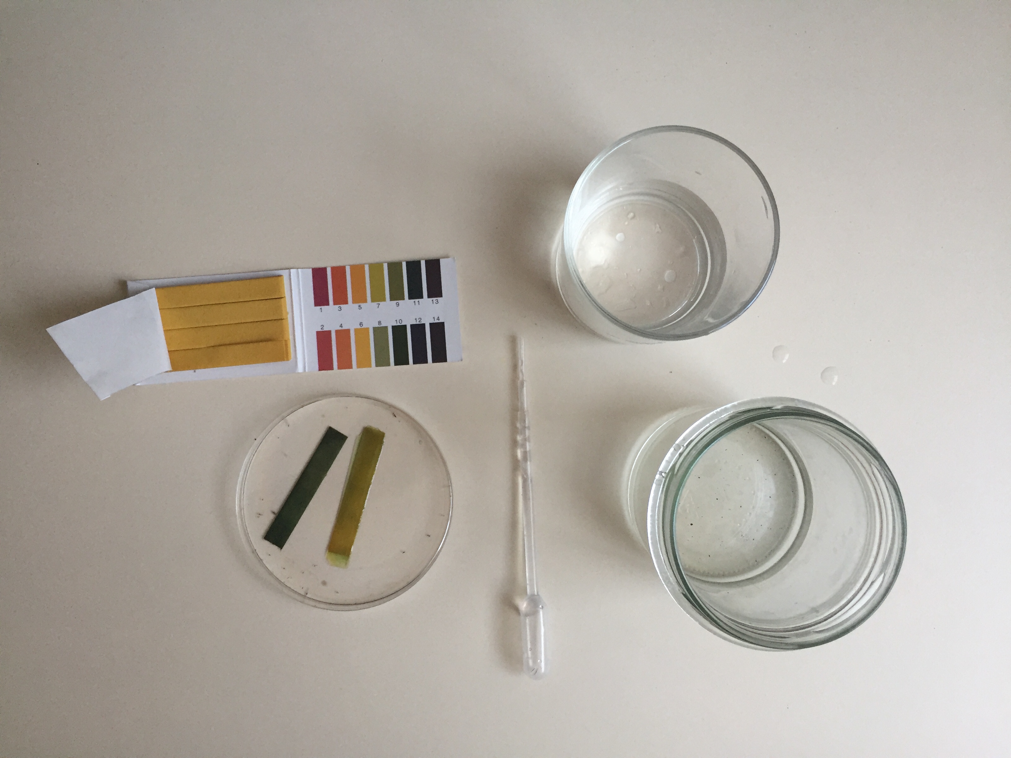 On the left side, a petri dish with two litmus paper tests, a plastic doser, one glass of tap water, one jar of raindrops.